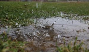 Rain falling into a puddle on a lawn
