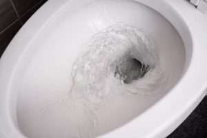A toilet being flushed to test sewer line