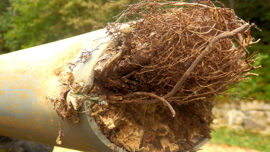 Root Intrusion Example